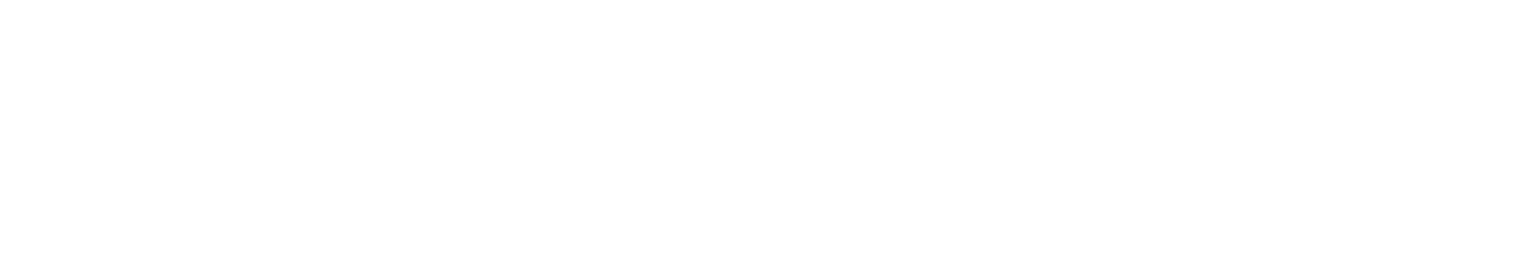 BC Arts Council Logo